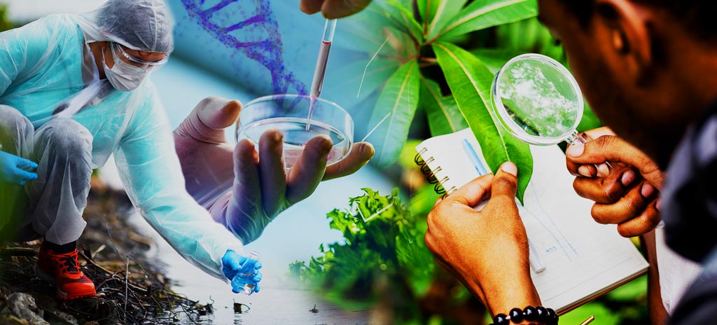 Ciências Biológicas